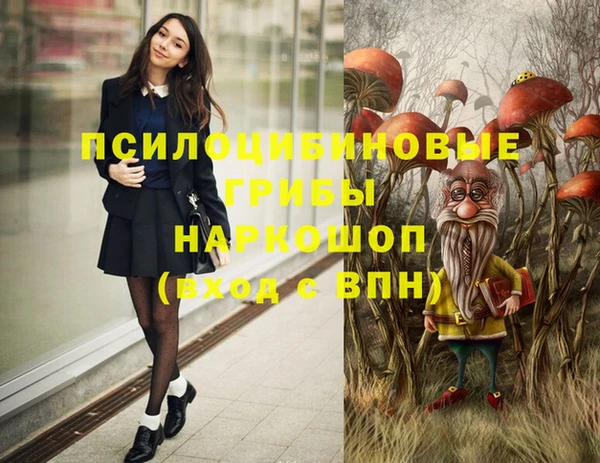 стафф Арсеньев