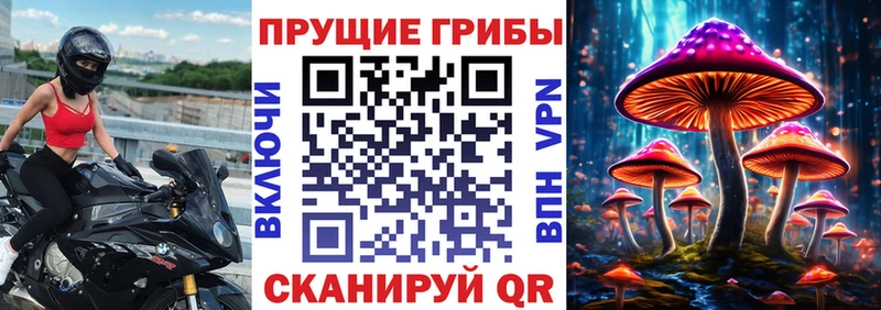 Галлюциногенные грибы Magic Shrooms MEGA онион Бабушкин